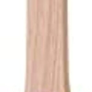 1" Purdy 144080210 Nylox Dale Angled Sash Paint Brush, Tynex Nylon