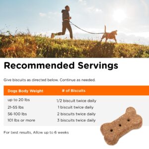 Nutri-Vet Skin & Coat Biscuits for Dogs - Tasty Dog Treat & Dog Skin and Coat Supplement - Small Sized Biscuit - Omega-3 and Biotin Dog Treat - 16 oz