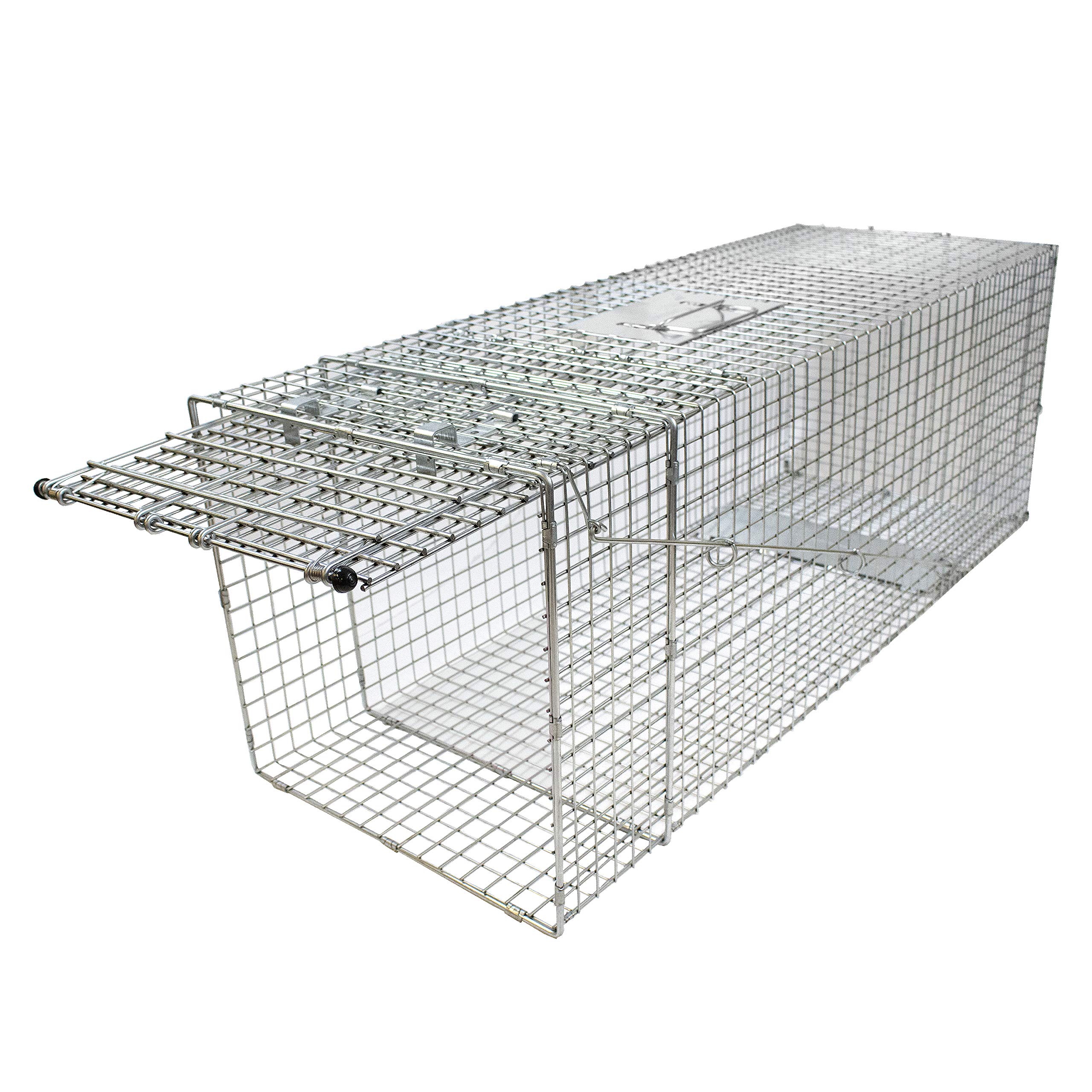 Havahart 1081 Live Animal Professional Style One-Door Large Raccoon, Small Dogs, and Fox Cage Trap-Made in the USA