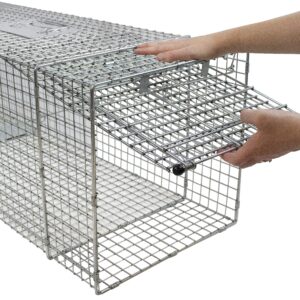 Havahart 1081 Live Animal Professional Style One-Door Large Raccoon, Small Dogs, and Fox Cage Trap-Made in the USA