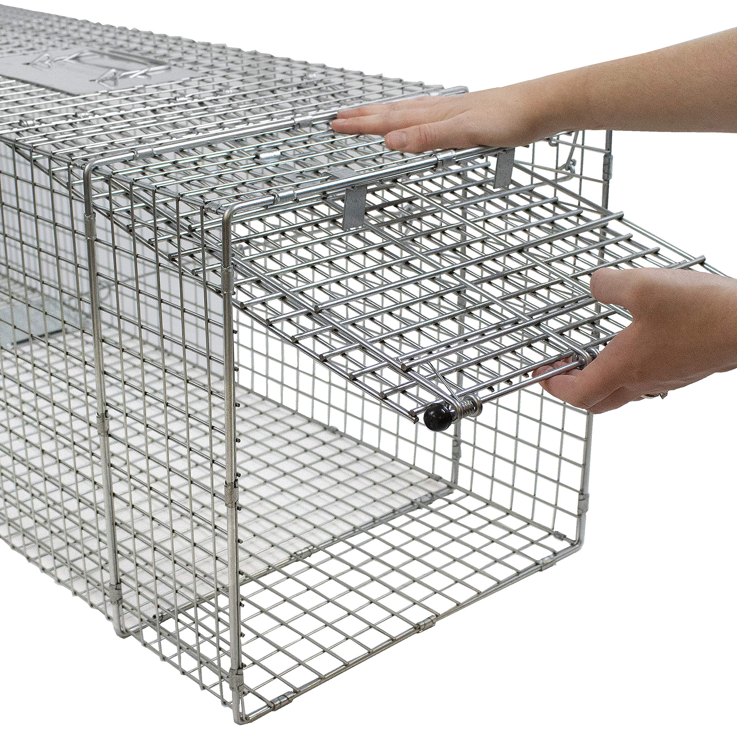 Havahart 1081 Live Animal Professional Style One-Door Large Raccoon, Small Dogs, and Fox Cage Trap-Made in the USA