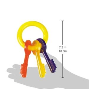 Nylabone Puppy Chew Keys Toy - Puppy Chew Toys for Teething - Puppy Supplies - Bacon Flavor, Small (1 Count)