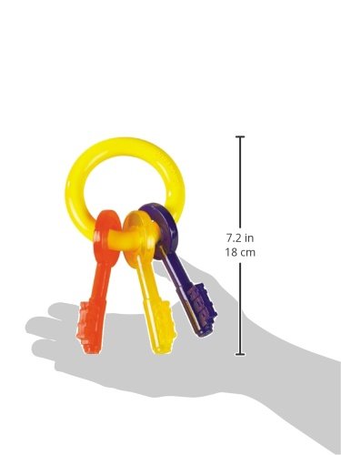 Nylabone Puppy Chew Keys Toy - Puppy Chew Toys for Teething - Puppy Supplies - Bacon Flavor, Small (1 Count)