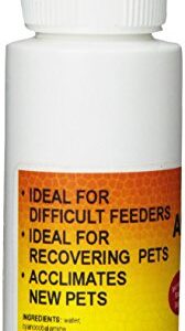 Nature Zone SNZ59231 Appetite Plus Reptile Concentrated Solution, 2-Ounce