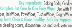 PETKIN Toothwipes Dogs/Ca Size 40ct Toothwipes Dogs/Cats 40ct