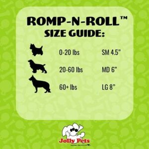 Jolly Pets Romp-n-Roll Rope and Ball Dog Toy, 8 Inches/Large, Blue, Model:608 BL