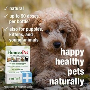 HomeoPet First Aid, Safe and Natural Oral Wound Care for Dogs, Cats, and Other Pets, 15 Milliliters