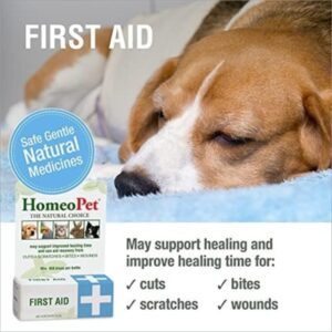 HomeoPet First Aid, Safe and Natural Oral Wound Care for Dogs, Cats, and Other Pets, 15 Milliliters