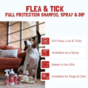 Bio-Groom Flea & Tick Dog Shampoo – Flea and Tick Prevention for Dogs, Cat Flea Treatment, Cruelty-Free, Made in USA, Natural Tick Repellent, Protein-Lanolin Shampoo – 12 fl oz 1-Pack