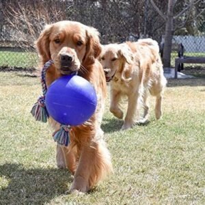 Jolly Pets Romp-n-Roll Rope and Ball Dog Toy, 8 Inches/Large, Blue, Model:608 BL