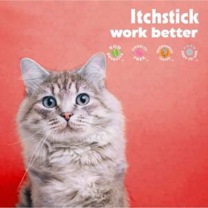 Petkin Anti Itch Stick for Pets - Simply Rub on Anytime to Provide Pain & Itching Relief for Dogs & Cats on Contact - Bitter Taste Stops Licking & Chewing - 1.5 oz Net Weight -Ideal for Home or Travel