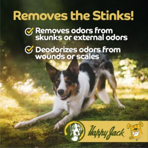 Happy Jack Itch No More Dog Itchy Skin Shampoo & Treatment (12 oz), Flea Bites, Allergies & Itchy Skin Relief, Stops Itching, Scratching & Gnawing on First Application, Healthy Dog Skin & Coat