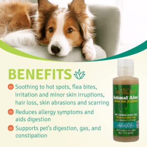 Aloe Life - Animal Aloe, Pet-Safe Digestive Aid & Skin Treatment Gel, Helps to Soothe Hotspots, Flea Bites & Irritation, Supports Your Pet’s Digestive Health & Overall Wellness, Fragrance-Free (4 oz)