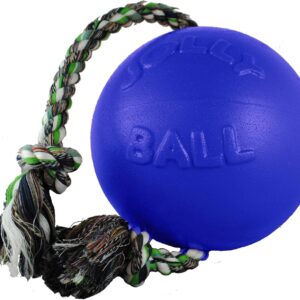 Jolly Pets Romp-n-Roll Rope and Ball Dog Toy, 8 Inches/Large, Blue, Model:608 BL