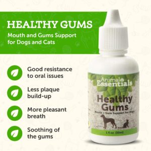 Animal Essentials Healthy Gums for Dogs & Cats - Dental Care, Mouth & Gum Support, Dental Drops, All Natural Pet Supplement, Oral Care - 1 Fl Oz