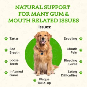 Animal Essentials Healthy Gums for Dogs & Cats - Dental Care, Mouth & Gum Support, Dental Drops, All Natural Pet Supplement, Oral Care - 1 Fl Oz