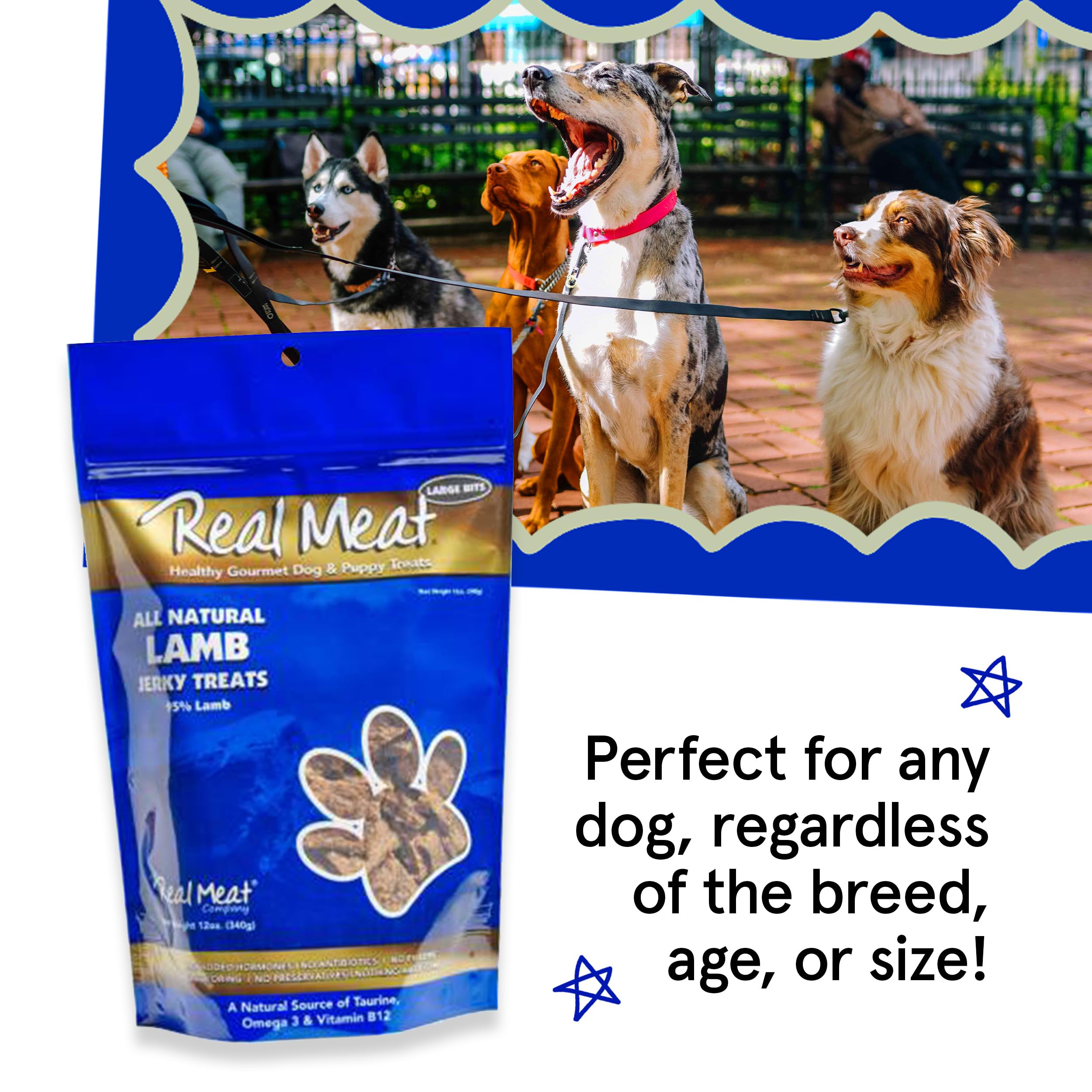 Real Meat Dog Treats - 12oz Bag of Bite-Sized Air-Dried Lamb Jerky for Dogs - Grain-Free Jerky Dog Treats Made up of 95% Human-Grade, Free-Range, Grass Fed Lamb - All-Natural High Protein Dog Treats