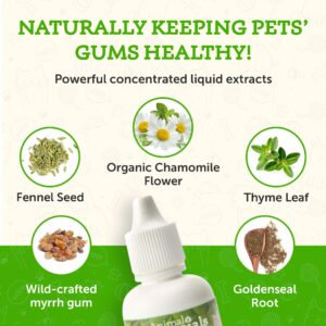 Animal Essentials Healthy Gums for Dogs & Cats - Dental Care, Mouth & Gum Support, Dental Drops, All Natural Pet Supplement, Oral Care - 1 Fl Oz