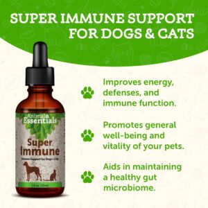 Animal Essentials Super Immune for Dogs & Cats - Immune System Support Supplement, Echinacea, Eleuthero, Olive Leaf Extract, Liquid Drops - 1 Fl Oz