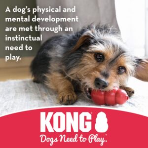 KONG Dental with Rope- for Dog Dental Care - Stuffable Chew Toy - Provides Chewing Outlet & Satisfies Instinctual Needs - Cleans Teeth & Gums - Made with Durable Natural Rubber - for Medium Dogs