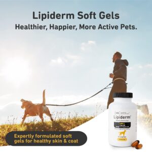 International Veterinary Sciences IVS Lipiderm Gel Cap Skin and Coat Fish Oil Omega 3 and 6 Dietary Supplement for Large Dogs, Made in the USA, 120 Count