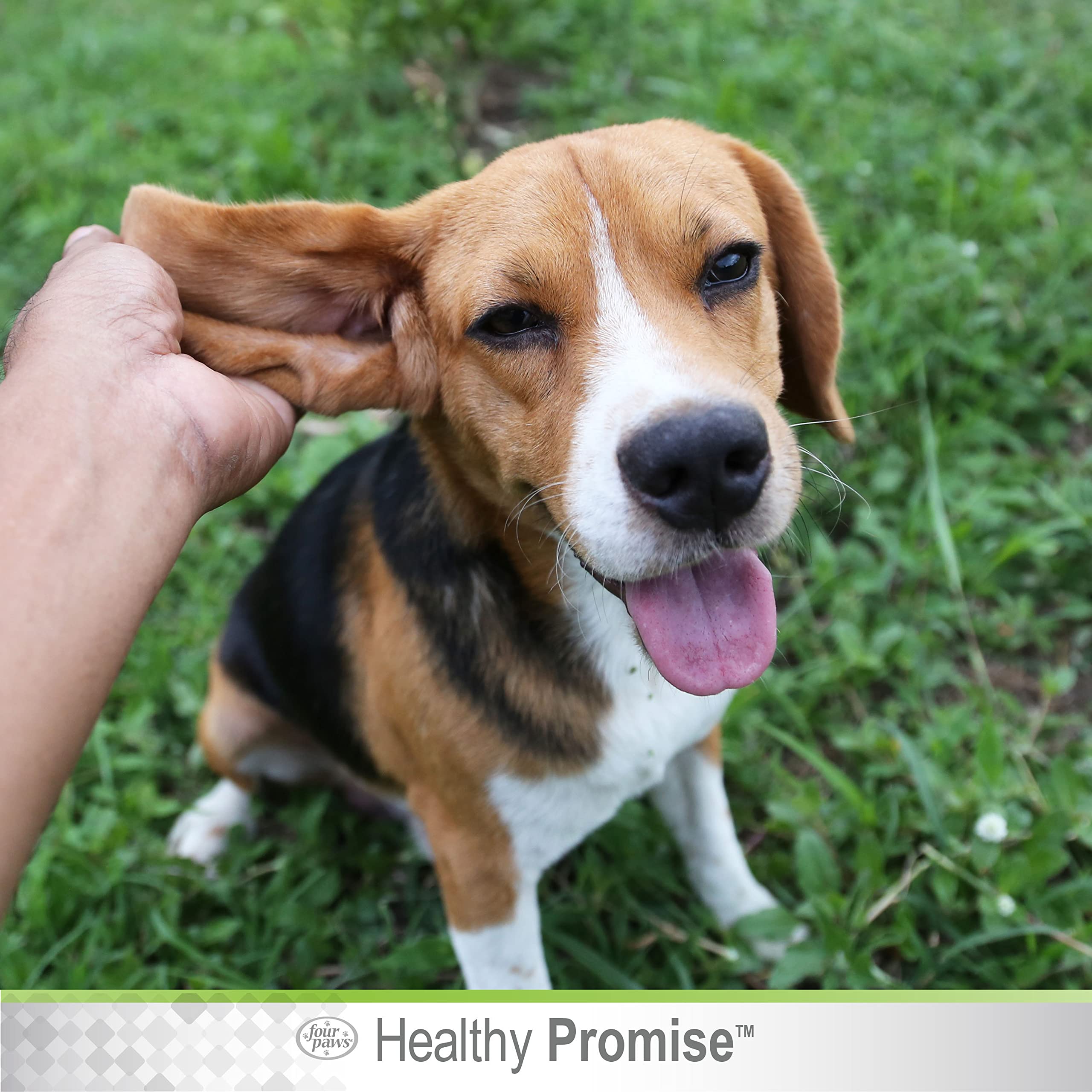 Four Paws Ear WASH Dog & CAT