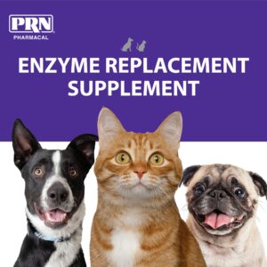 PRN Pharmacal ProZyme Original Formula Enzyme Replacement Supplement - Reinforces Animal's Digestive System, Supports Dog & Cat Food Breakdown - Promotes Pet's Digestive Health - 454 g, 1 lb Bottle