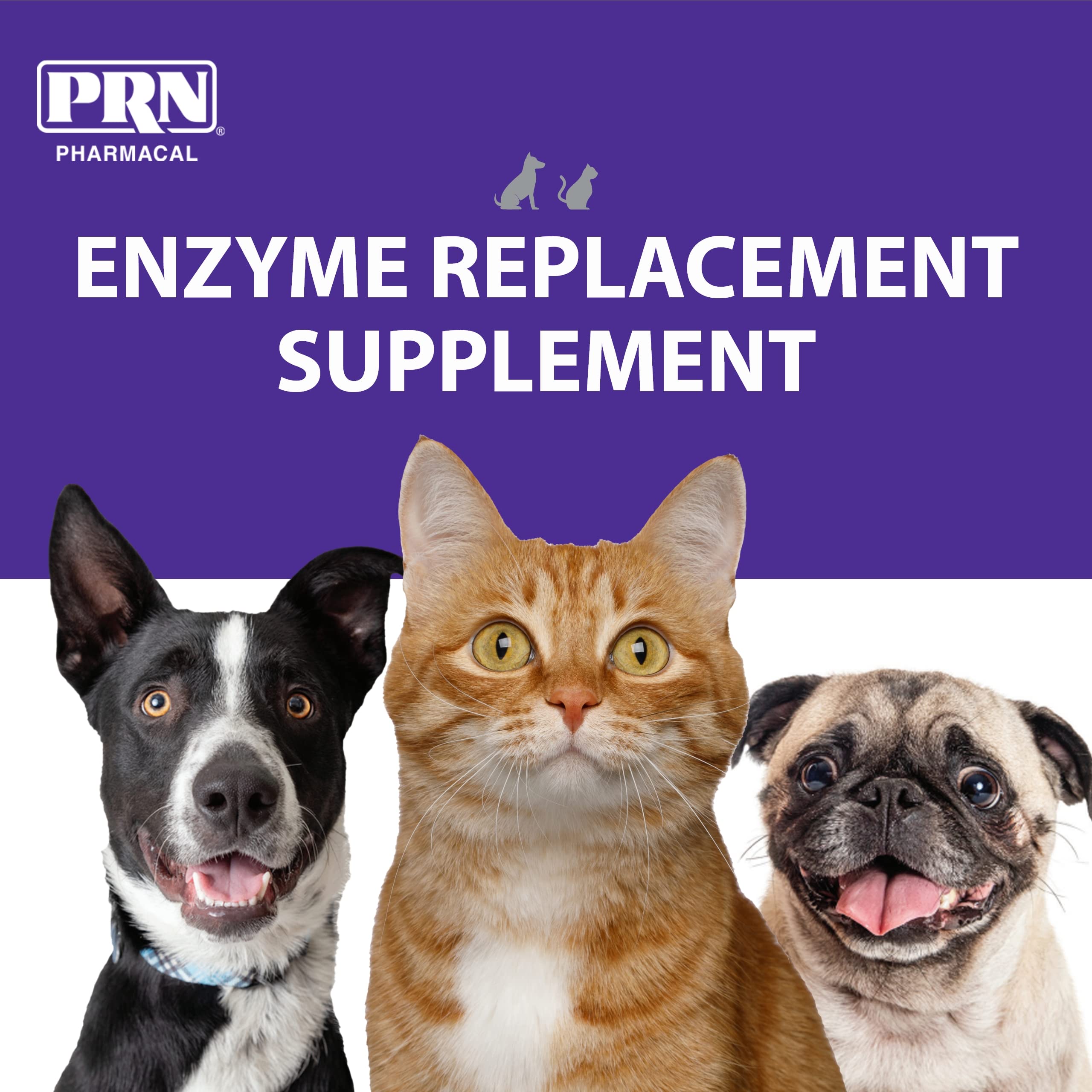 PRN Pharmacal ProZyme Original Formula Enzyme Replacement Supplement - Reinforces Animal's Digestive System, Supports Dog & Cat Food Breakdown - Promotes Pet's Digestive Health - 454 g, 1 lb Bottle