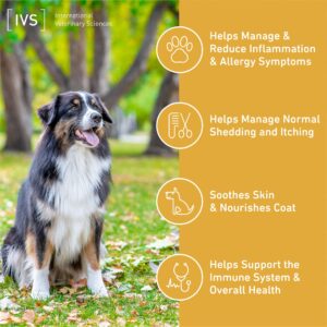 International Veterinary Sciences IVS Lipiderm Gel Cap Skin and Coat Fish Oil Omega 3 and 6 Dietary Supplement for Large Dogs, Made in the USA, 120 Count