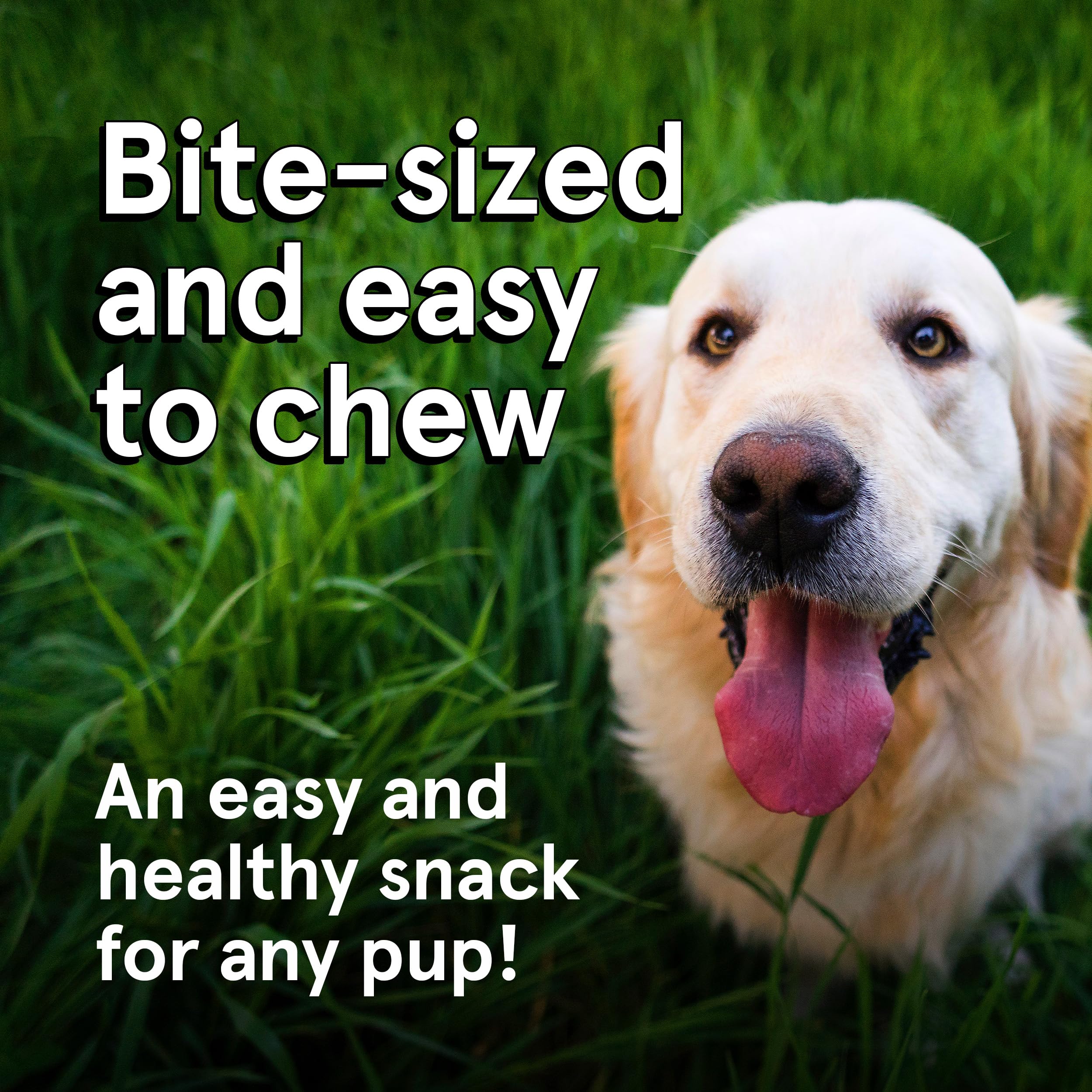 Real Meat Dog Treats - 12oz Bag of Bite-Sized Air-Dried Lamb Jerky for Dogs - Grain-Free Jerky Dog Treats Made up of 95% Human-Grade, Free-Range, Grass Fed Lamb - All-Natural High Protein Dog Treats