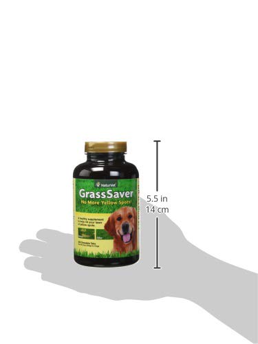 NaturVet – GrassSaver Supplement for Dogs – Healthy Supplement to Help Rid Your Lawn of Yellow Spots – Synergistic Combination of B-Complex Vitamins & Amino Acids – 500 Tablets