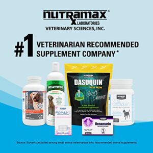 Nutramax Denosyl Liver and Brain Health Supplement for Medium Dogs - With S-Adenosylmethionine (SAMe), 30 Tablets