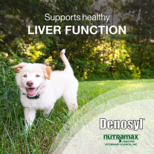 Nutramax Denosyl Liver and Brain Health Supplement for Medium Dogs - With S-Adenosylmethionine (SAMe), 30 Tablets