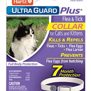 Hartz UltraGuard Plus Water Resistant 7 Month Protection Breakaway Flea & Tick Collar for Cats (3270094268)