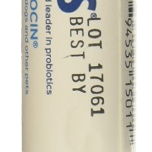 Probiocin Oral Gel 15gm Syringe