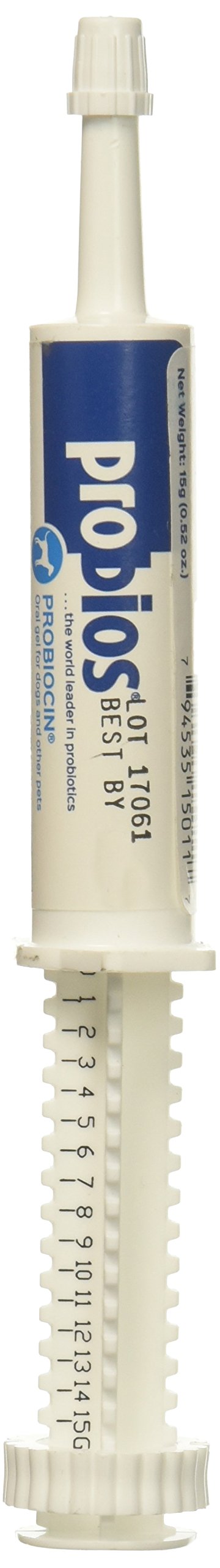 Probiocin Oral Gel 15gm Syringe