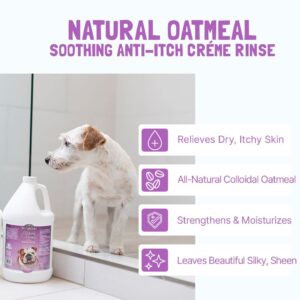 Bio-Groom Oatmeal Dog Conditioner – for Allergies and Itching, Cruelty-Free, Dog Bathing Supplies, Puppy Conditioner for Sensitive Skin, Made in USA, Anti-Itch Dog Products – 1 Gallon