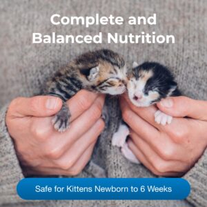 Pet-Ag KMR Kitten Milk Replacer Powder - 6 oz - Powdered Kitten Formula with Prebiotics, Probiotics & Vitamins for Kittens Newborn to Six Weeks Old - Easy to Digest