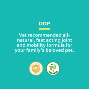 American BioSciences DGP, All-Natural Joint Supplement for Dogs - Joint Support with Turmeric, Boswellia Extract & More - Quick Effect for Immediate Mobility Support - 60 Chewable Pet Tablets