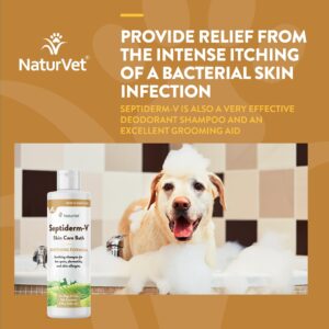 NaturVet Septiderm-V Skin Care Bath Wash for Dogs & Cats – Pet Health Supplement for Dermatitis, Dog Skin Allergies, Itching, Hot Spots – Pet Shampoo, Grooming Aid – 8 Oz.