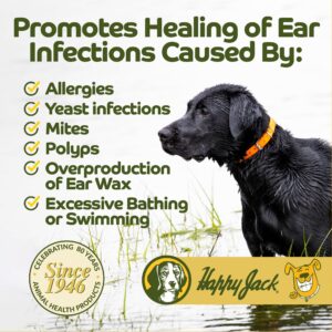 HAPPY JACK Ear Canker Powder (0.5 oz) Dog Ear Powder for Ear Infections, Made in USA Allergies, Polyps, Overproduction of Ear Wax, Excessive Swimming