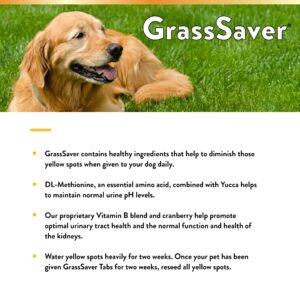 NaturVet – GrassSaver Supplement for Dogs – Healthy Supplement to Help Rid Your Lawn of Yellow Spots – Synergistic Combination of B-Complex Vitamins & Amino Acids – 500 Tablets