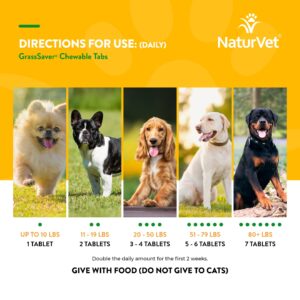 NaturVet – GrassSaver Supplement for Dogs – Healthy Supplement to Help Rid Your Lawn of Yellow Spots – Synergistic Combination of B-Complex Vitamins & Amino Acids – 500 Tablets