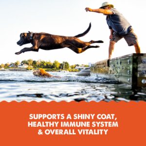 Grizzly Wild Alaskan Salmon Oil Dog Food Supplement Omega 3 Fatty Acids, 8 oz