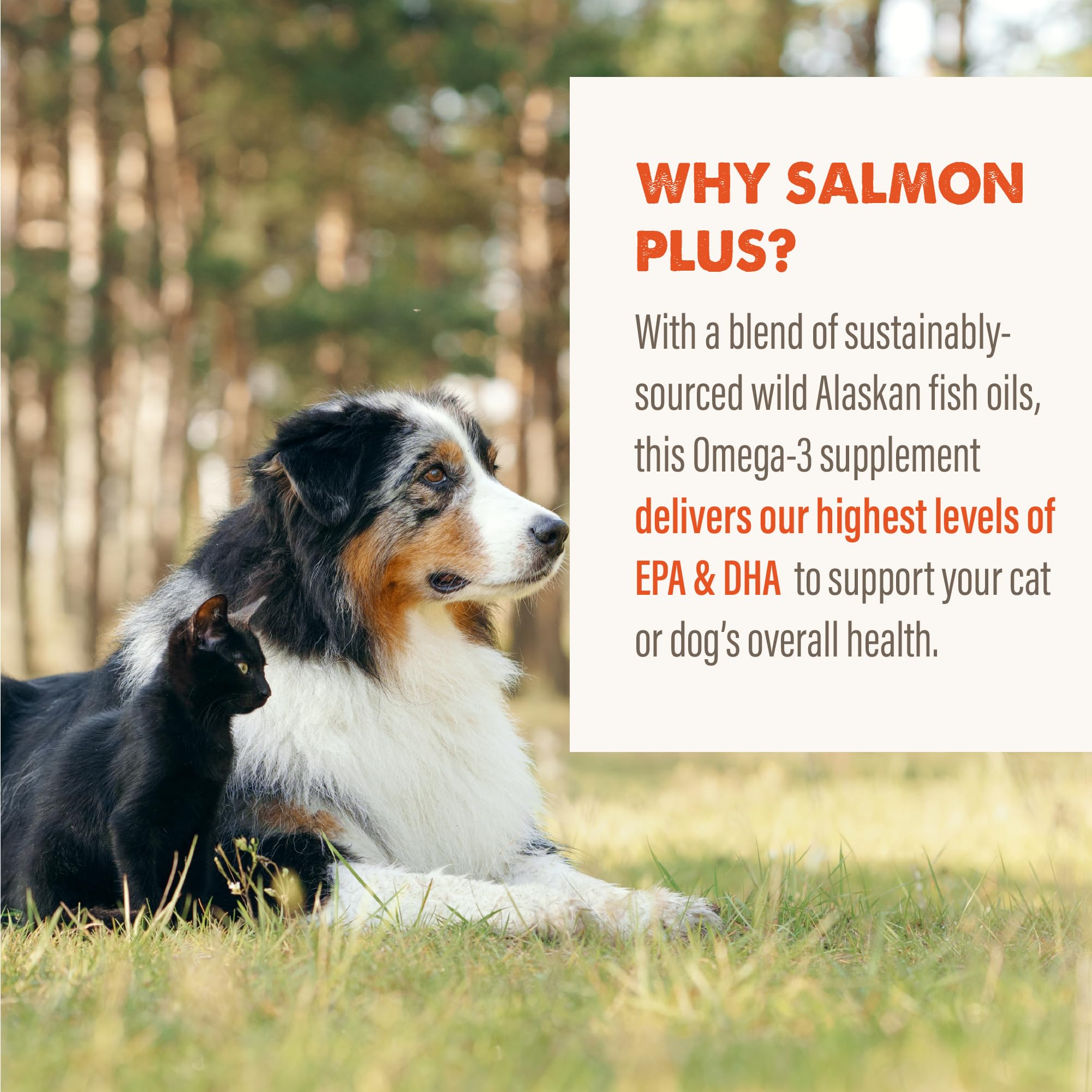 Grizzly Wild Alaskan Salmon Oil Dog Food Supplement Omega 3 Fatty Acids, 8 oz