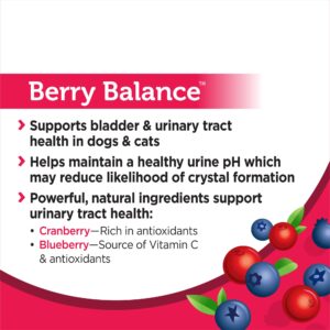 Solid Gold Cranberry Supplement for Dogs & Cats for Urinary Tract Health - Berry Balance UTI + Bladder + Kidney Support for Cats and Dogs with Antioxidants - Cranberry Powder - 3.5 oz