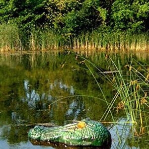 Bird-X Gator Guard® Floating Alligator Head Bird Scare with Reflective Eyes