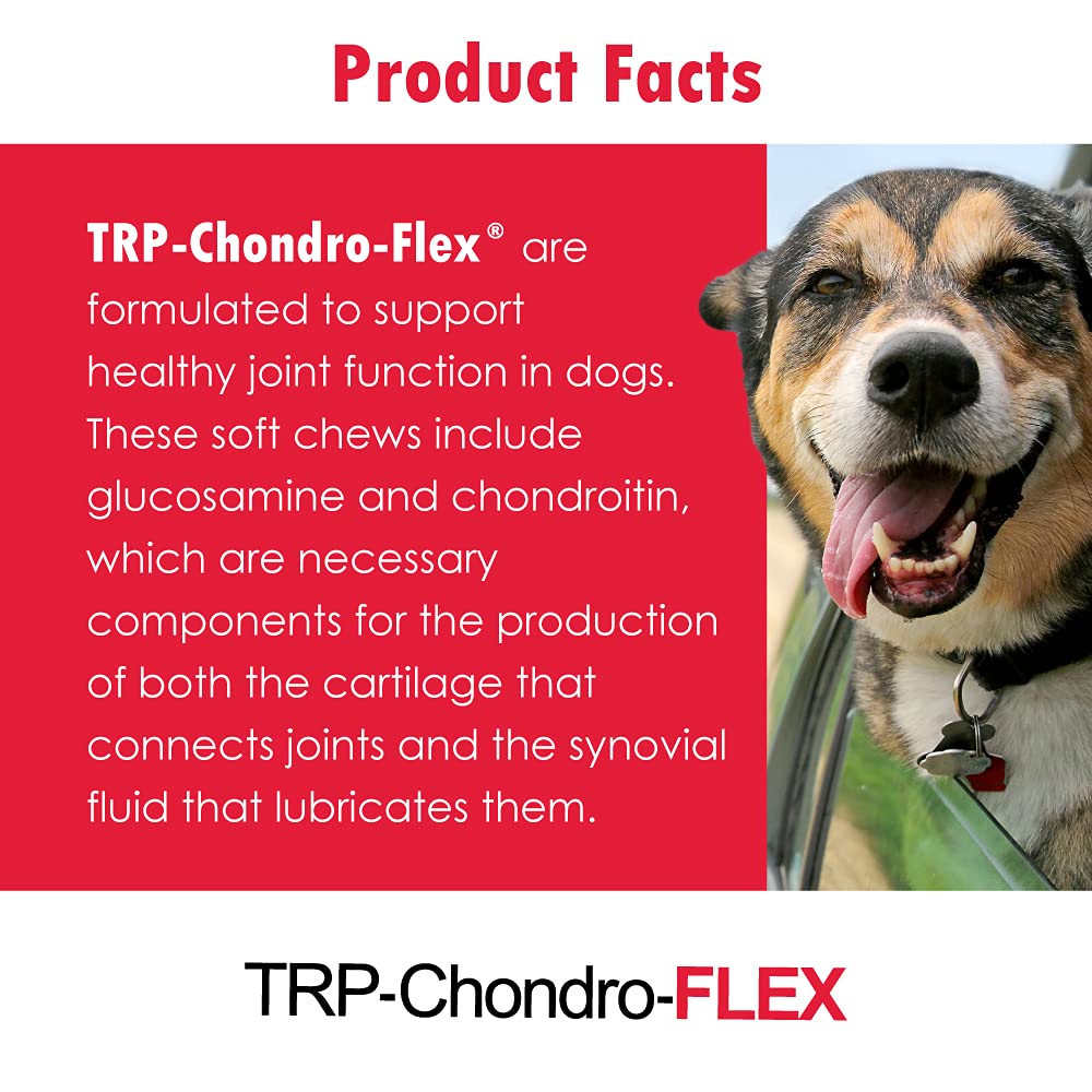 Chondro-Flex DS Joint Care Formula Soft Chews by Vitality Systems