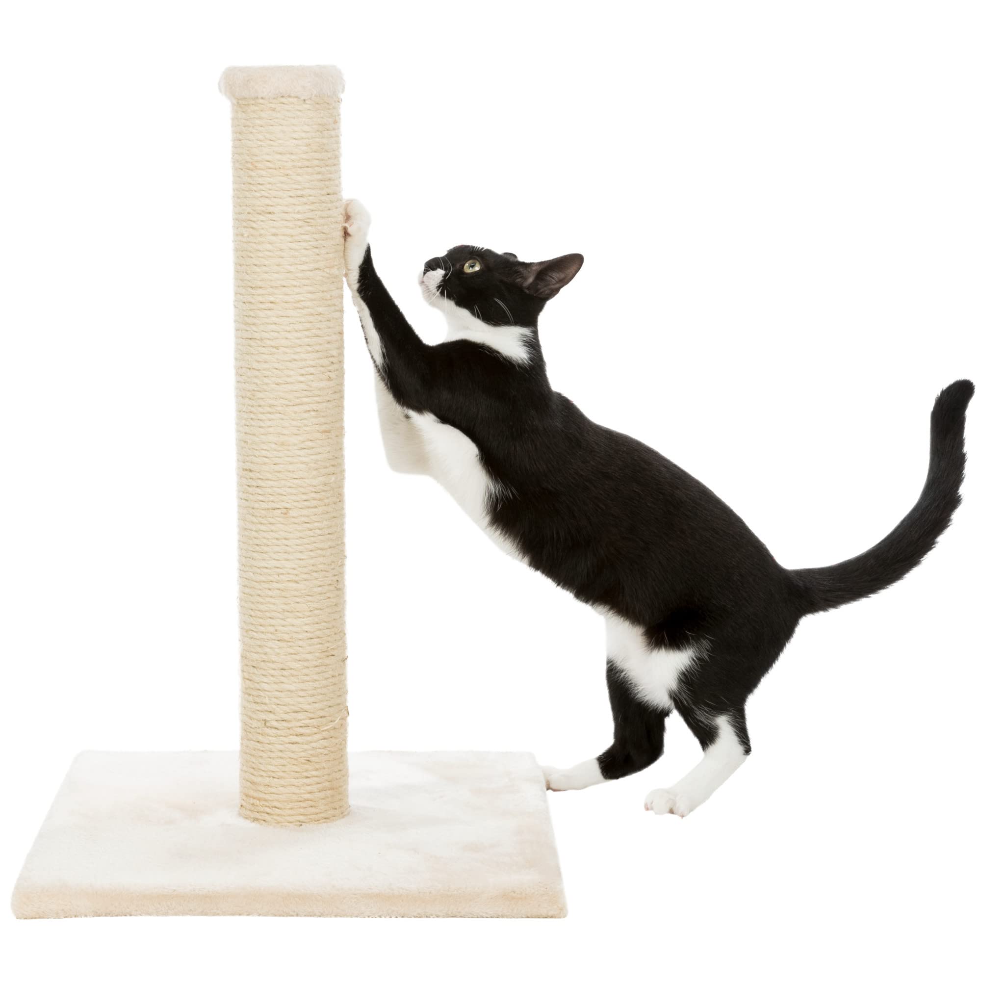 TRIXIE Parla Cat Scratching Post 24.4 Inch - Cat Scratcher with Soft Fabric Covering Base and Durable Sisal Rope - in Beige