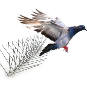 Bird-X Stainless Steel Bird Spikes, 8-inch Extra-Wide Spikes, Bird Spikes for Pigeons and Other Small Birds, Easy to Install, Contains 2 ft. Strips, Covers 100 Linear Feet Area, EWS-100